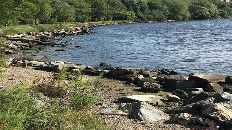 Bay Watch: A city beach for Washington Heights link